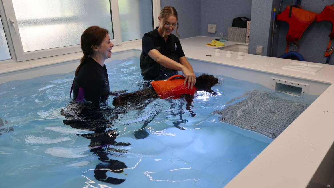 Rehabilitation