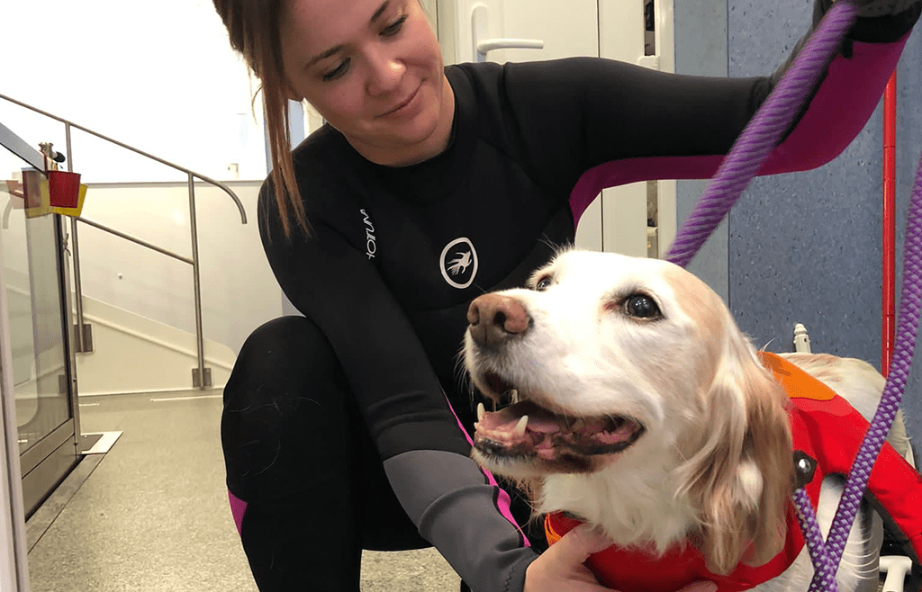 Hydrotherapy Day Care